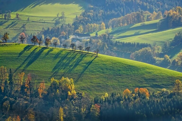 hodowla ślimaków jak zacząć