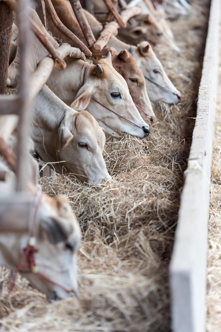 Ile stali produkuje Polska