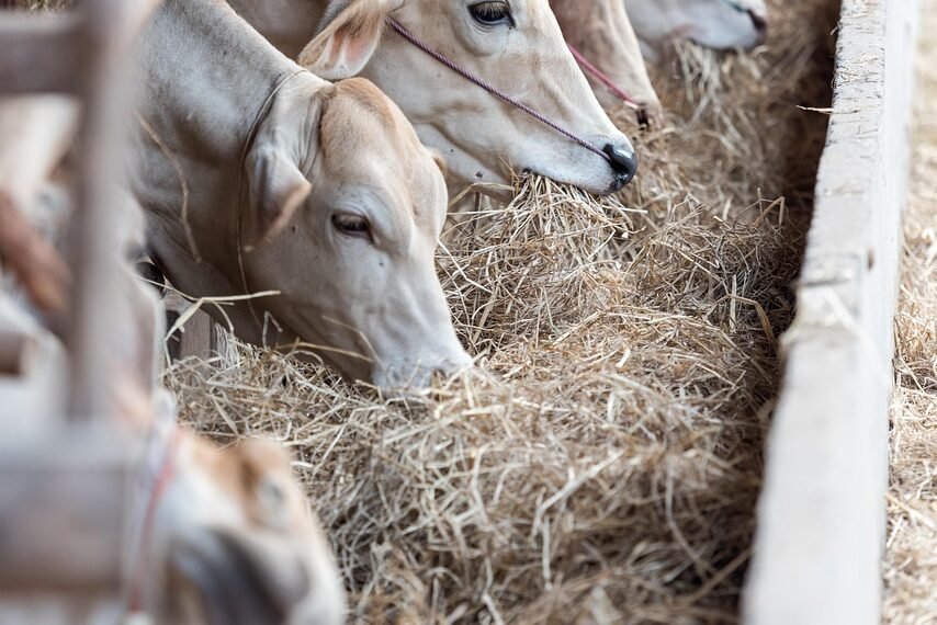 Ile stali produkuje Polska