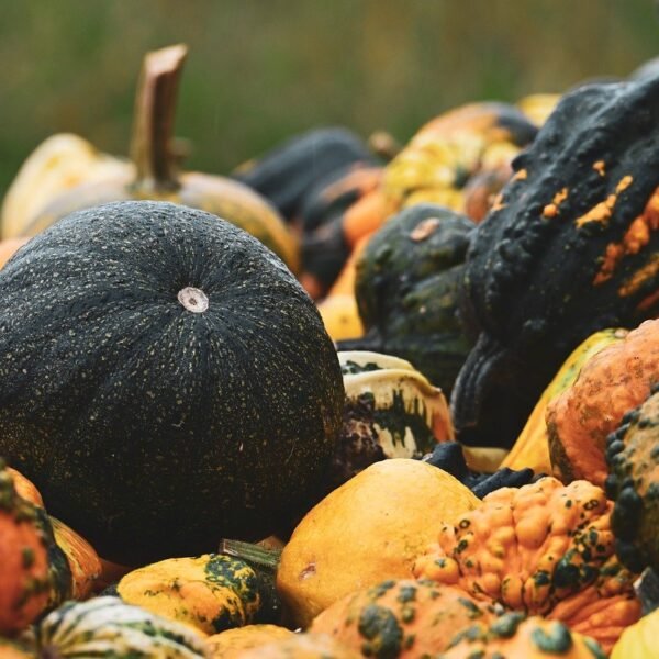 Ile zboża produkuje Polska